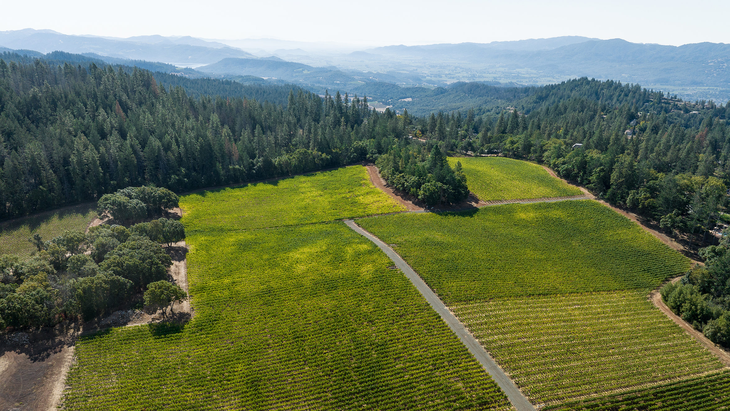 20231002_DJI_0131_full